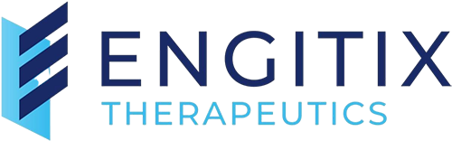 Engitix logo